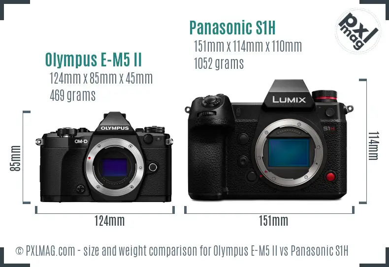 Olympus E-M5 II vs Panasonic S1H size comparison