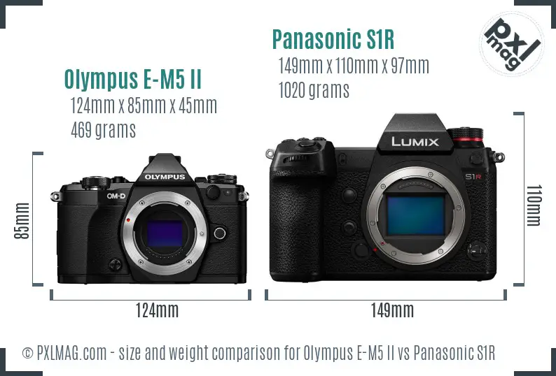 Olympus E-M5 II vs Panasonic S1R size comparison