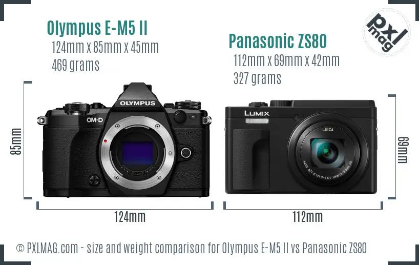 Olympus E-M5 II vs Panasonic ZS80 size comparison