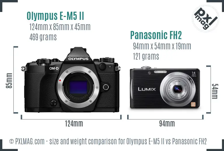 Olympus E-M5 II vs Panasonic FH2 size comparison