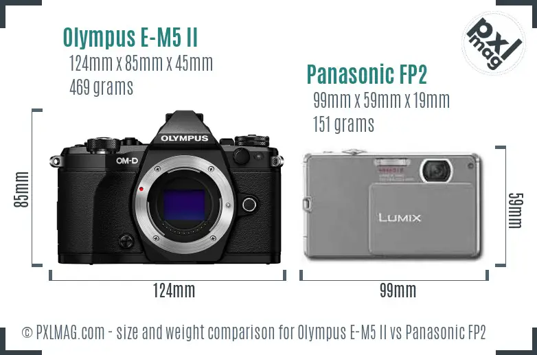 Olympus E-M5 II vs Panasonic FP2 size comparison