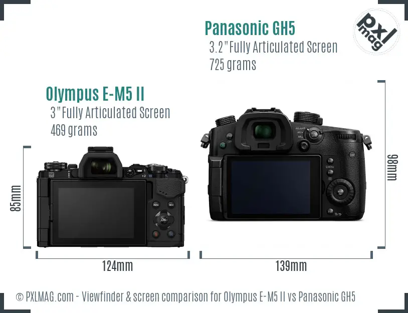 Olympus E-M5 II vs Panasonic GH5 Screen and Viewfinder comparison