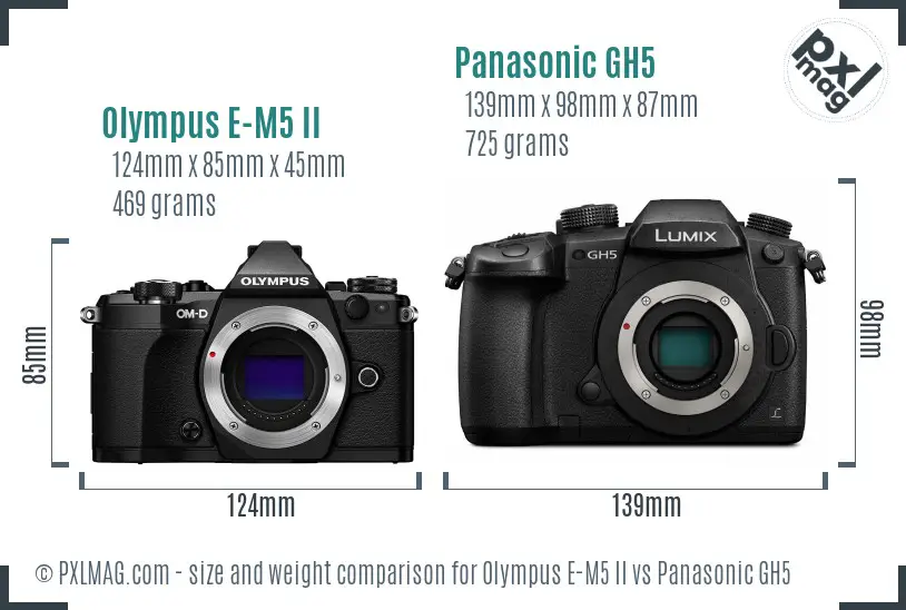 Olympus E-M5 II vs Panasonic GH5 size comparison