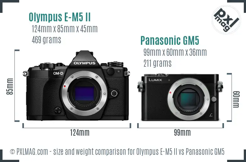 Olympus E-M5 II vs Panasonic GM5 size comparison