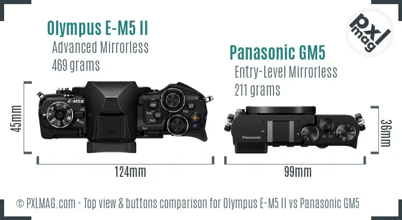 Olympus E-M5 II vs Panasonic GM5 top view buttons comparison