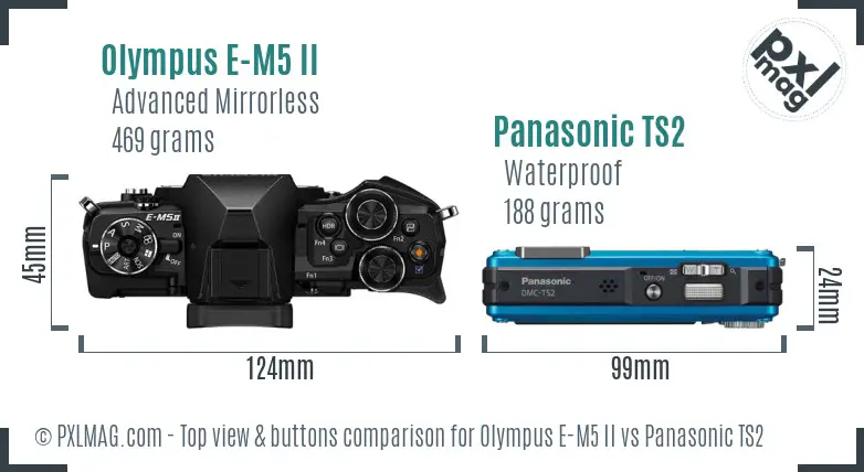 Olympus E-M5 II vs Panasonic TS2 top view buttons comparison