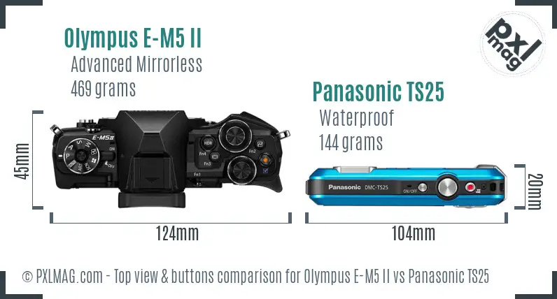 Olympus E-M5 II vs Panasonic TS25 top view buttons comparison