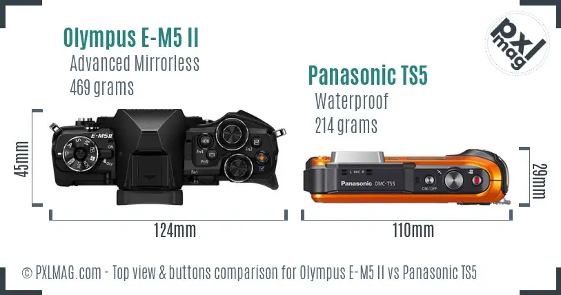 Olympus E-M5 II vs Panasonic TS5 top view buttons comparison