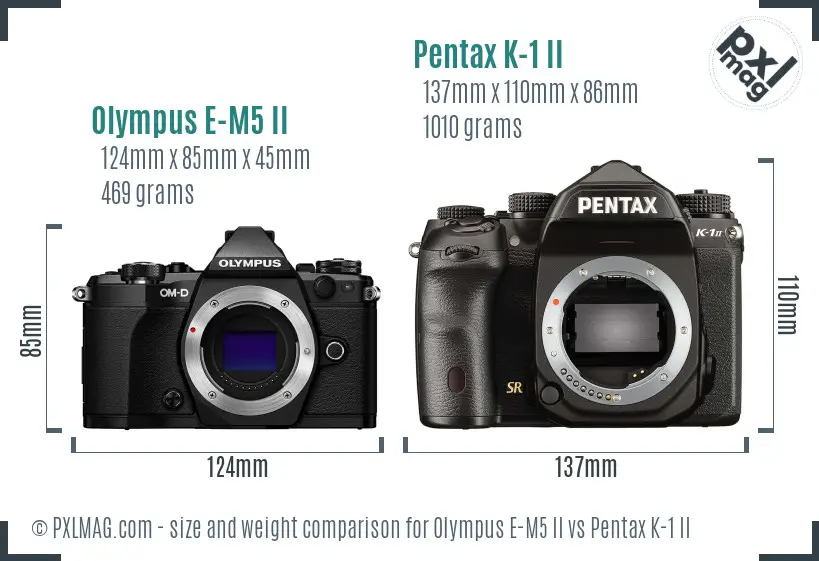 Olympus E-M5 II vs Pentax K-1 II size comparison