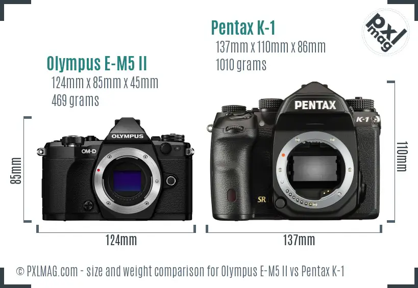 Olympus E-M5 II vs Pentax K-1 size comparison