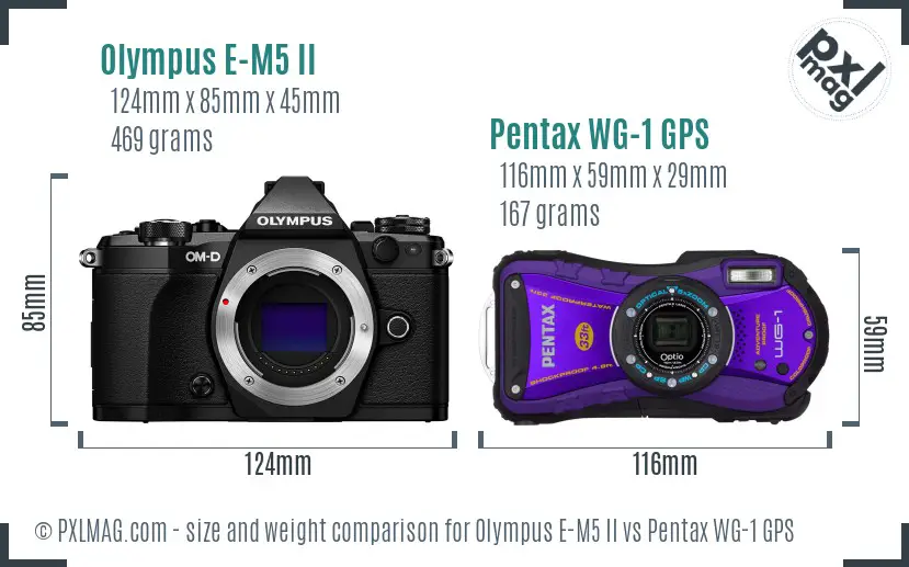 Olympus E-M5 II vs Pentax WG-1 GPS size comparison