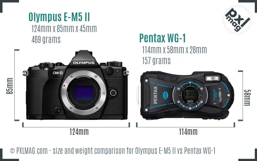 Olympus E-M5 II vs Pentax WG-1 size comparison