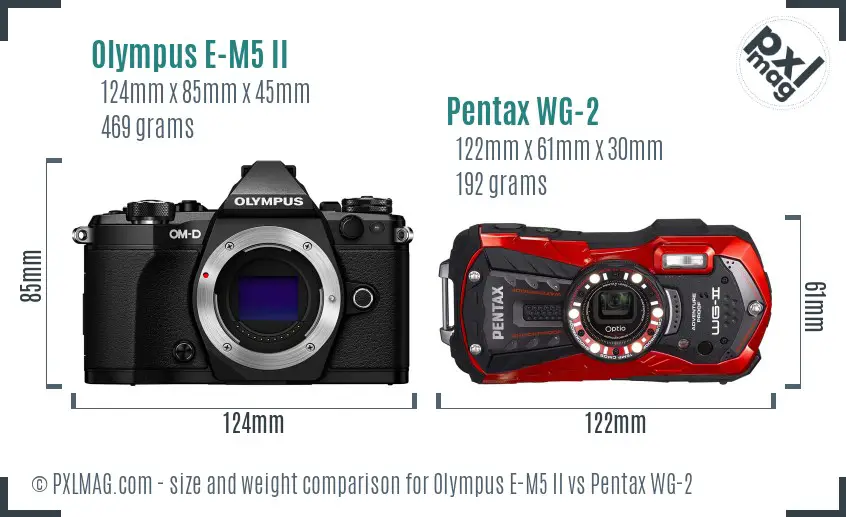 Olympus E-M5 II vs Pentax WG-2 size comparison