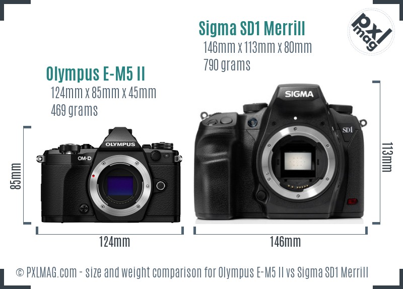 Olympus E-M5 II vs Sigma SD1 Merrill size comparison