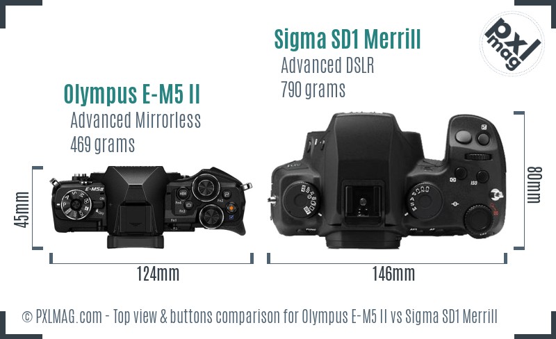 Olympus E-M5 II vs Sigma SD1 Merrill top view buttons comparison