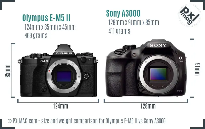 Olympus E-M5 II vs Sony A3000 size comparison