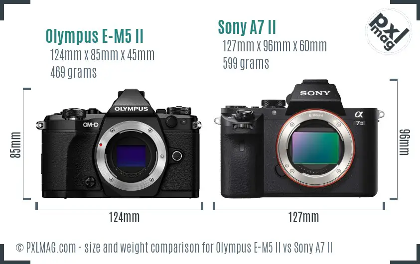 Olympus E-M5 II vs Sony A7 II size comparison
