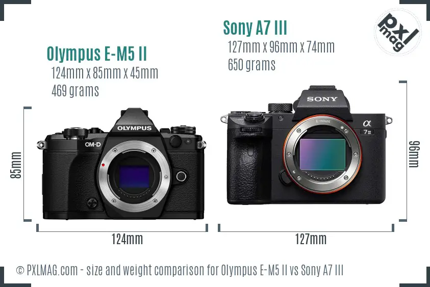 Olympus E-M5 II vs Sony A7 III size comparison