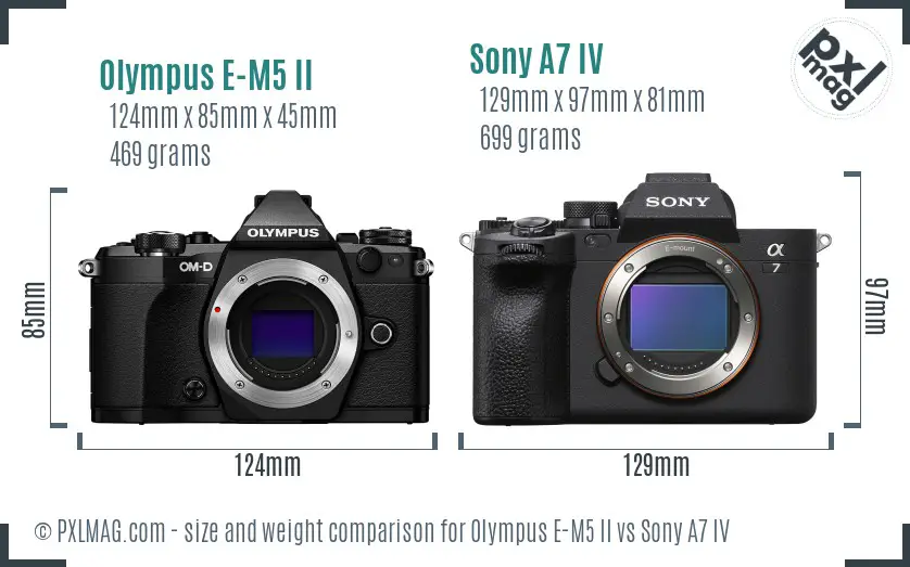 Olympus E-M5 II vs Sony A7 IV size comparison