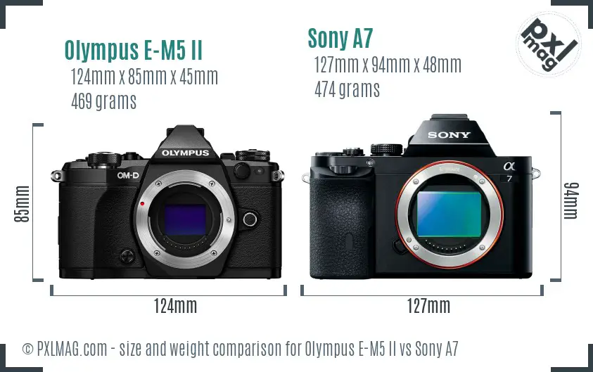 Olympus E-M5 II vs Sony A7 size comparison