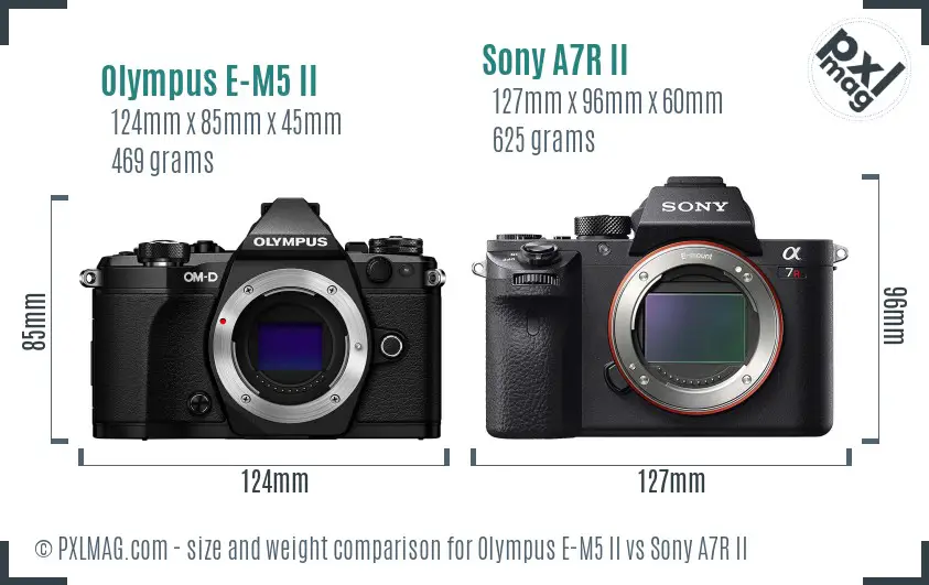 Olympus E-M5 II vs Sony A7R II size comparison