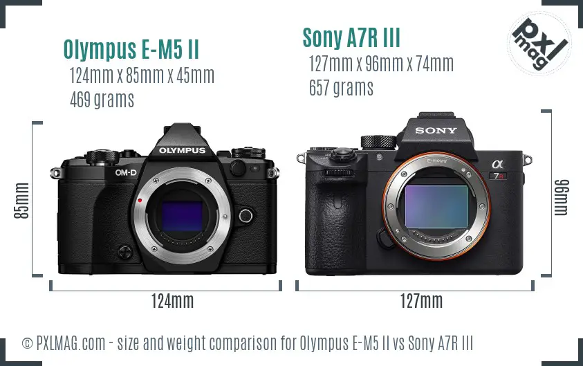 Olympus E-M5 II vs Sony A7R III size comparison