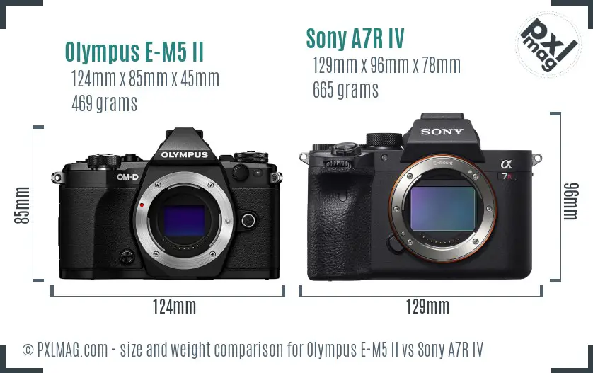 Olympus E-M5 II vs Sony A7R IV size comparison