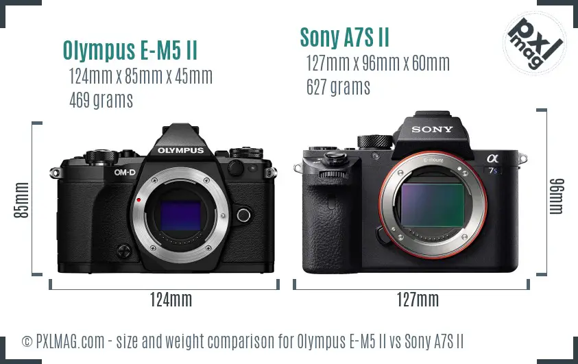 Olympus E-M5 II vs Sony A7S II size comparison