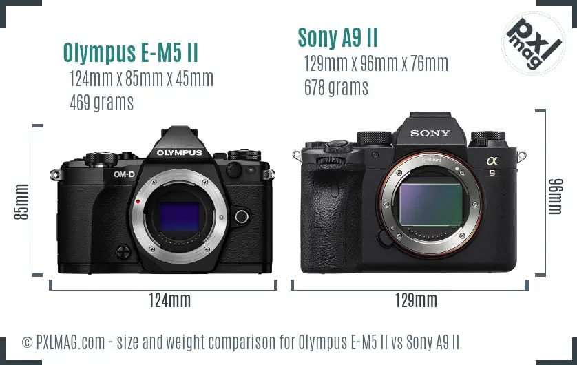 Olympus E-M5 II vs Sony A9 II size comparison