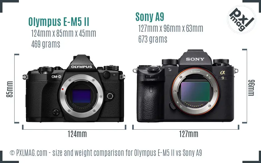 Olympus E-M5 II vs Sony A9 size comparison