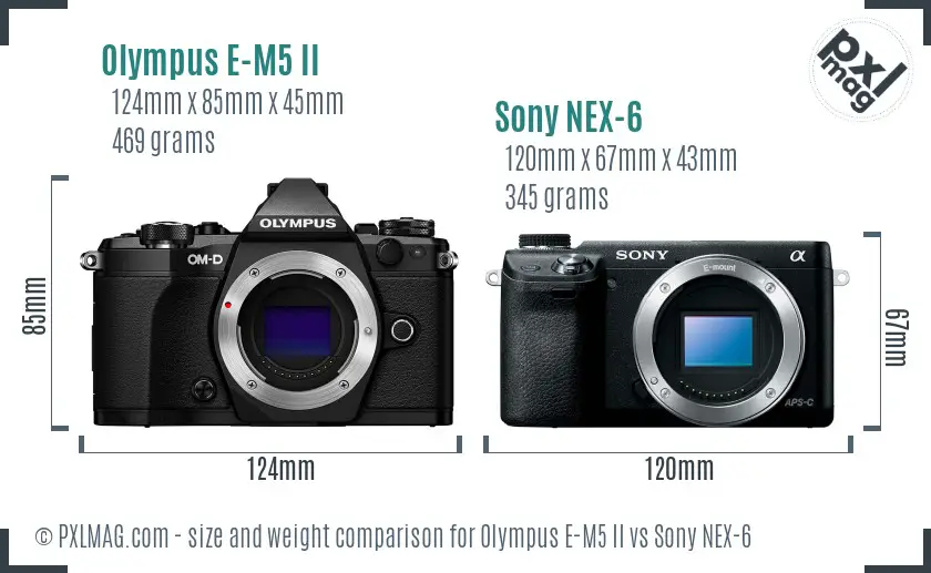 Olympus E-M5 II vs Sony NEX-6 size comparison