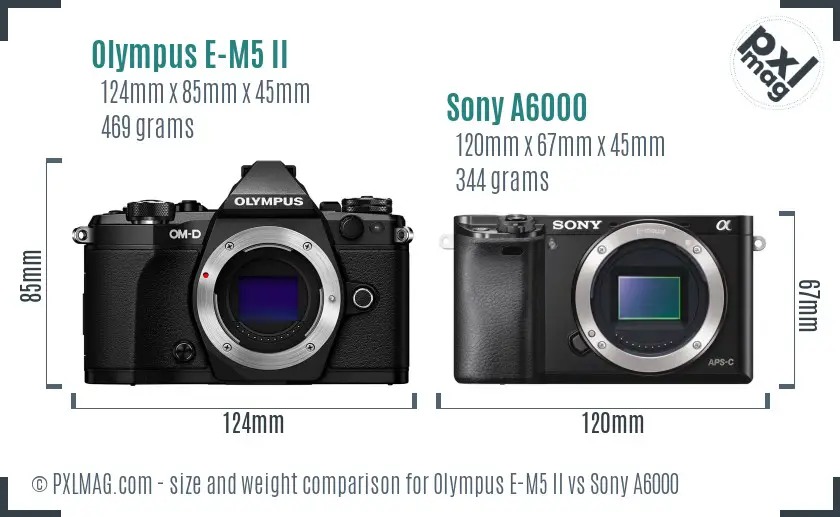 Olympus E-M5 II vs Sony A6000 size comparison