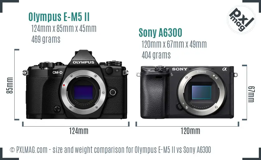 Olympus E-M5 II vs Sony A6300 size comparison