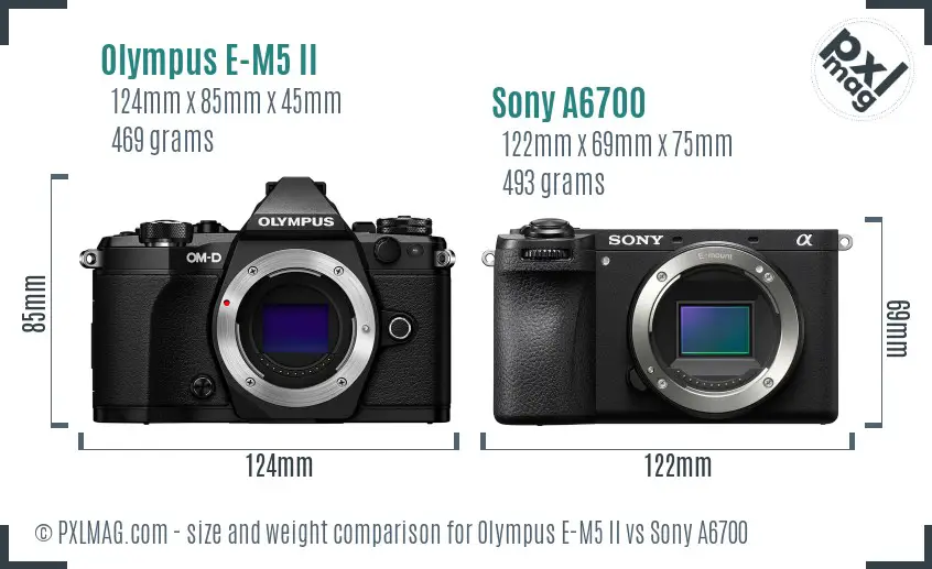 Olympus E-M5 II vs Sony A6700 size comparison