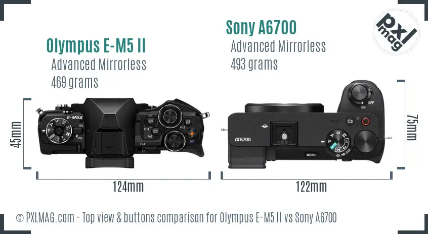 Olympus E-M5 II vs Sony A6700 top view buttons comparison