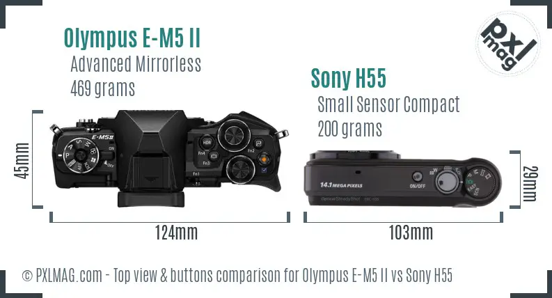 Olympus E-M5 II vs Sony H55 top view buttons comparison