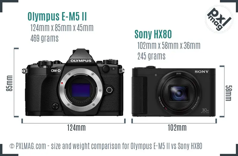 Olympus E-M5 II vs Sony HX80 size comparison