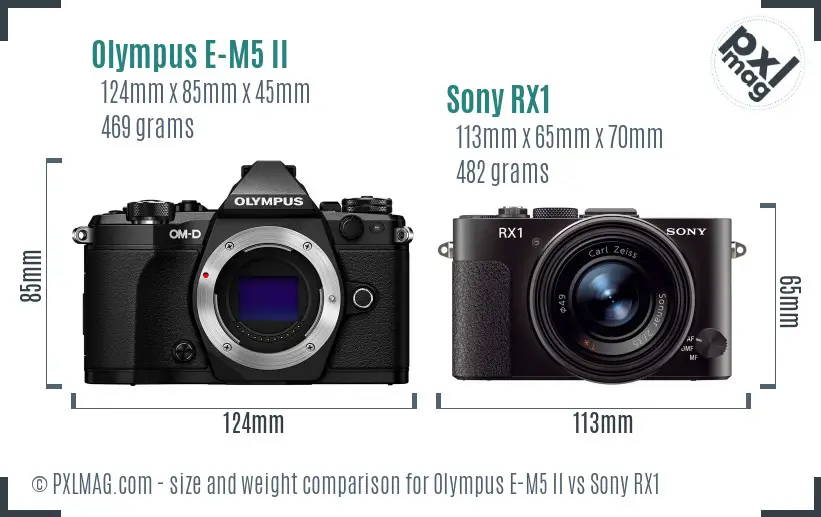 Olympus E-M5 II vs Sony RX1 size comparison