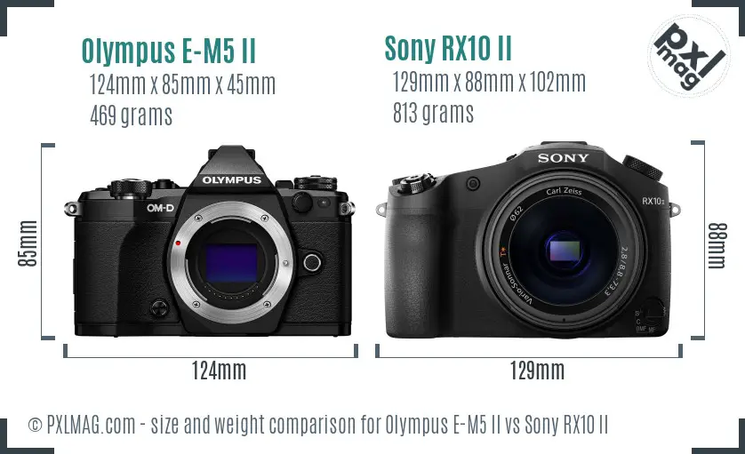 Olympus E-M5 II vs Sony RX10 II size comparison
