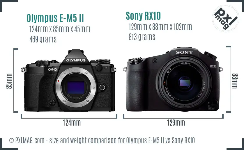 Olympus E-M5 II vs Sony RX10 size comparison