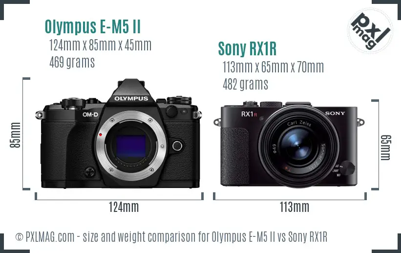 Olympus E-M5 II vs Sony RX1R size comparison