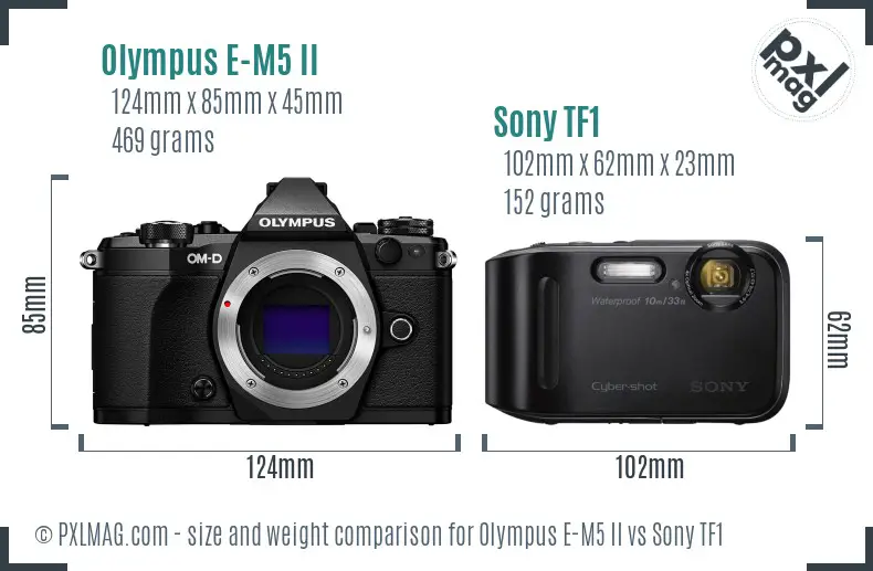 Olympus E-M5 II vs Sony TF1 size comparison