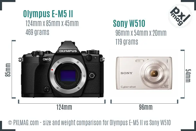 Olympus E-M5 II vs Sony W510 size comparison