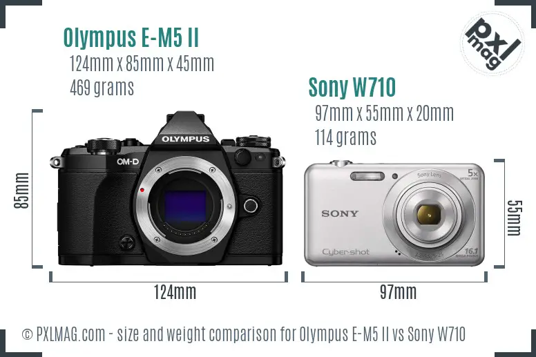 Olympus E-M5 II vs Sony W710 size comparison