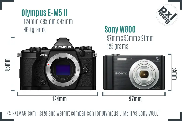 Olympus E-M5 II vs Sony W800 size comparison