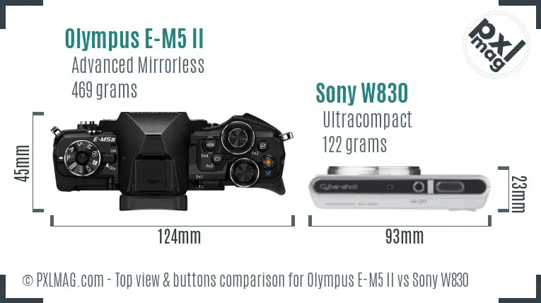 Olympus E-M5 II vs Sony W830 top view buttons comparison