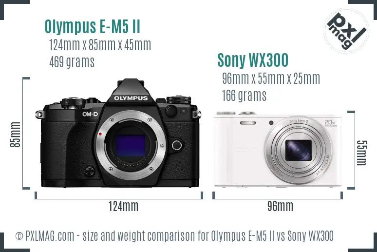 Olympus E-M5 II vs Sony WX300 size comparison