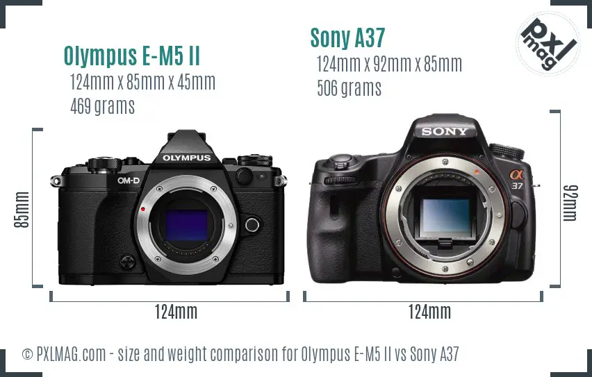 Olympus E-M5 II vs Sony A37 size comparison