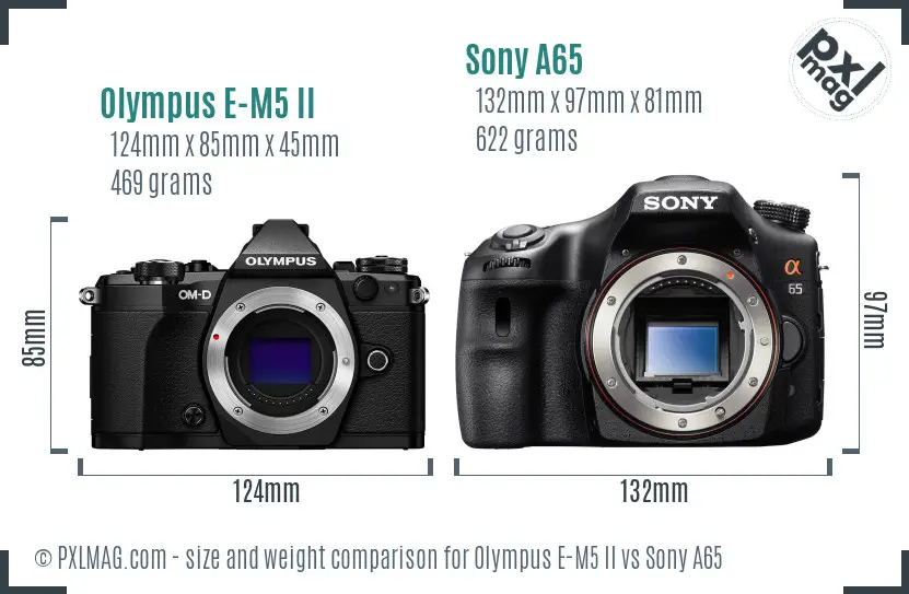 Olympus E-M5 II vs Sony A65 size comparison