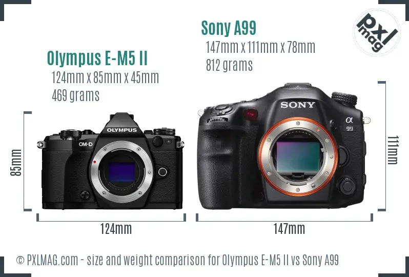 Olympus E-M5 II vs Sony A99 size comparison